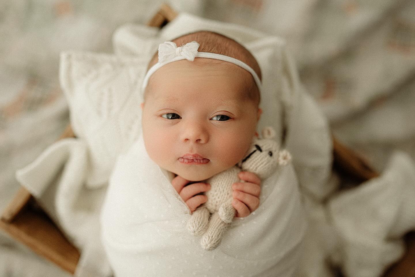 Whitney Dainty Bow