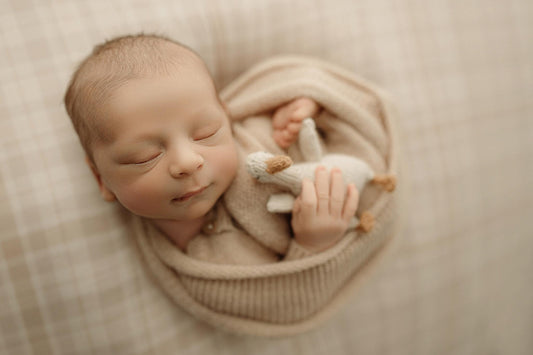 Cozy Cottage| Backdrop, Wrap & Pillow Covers