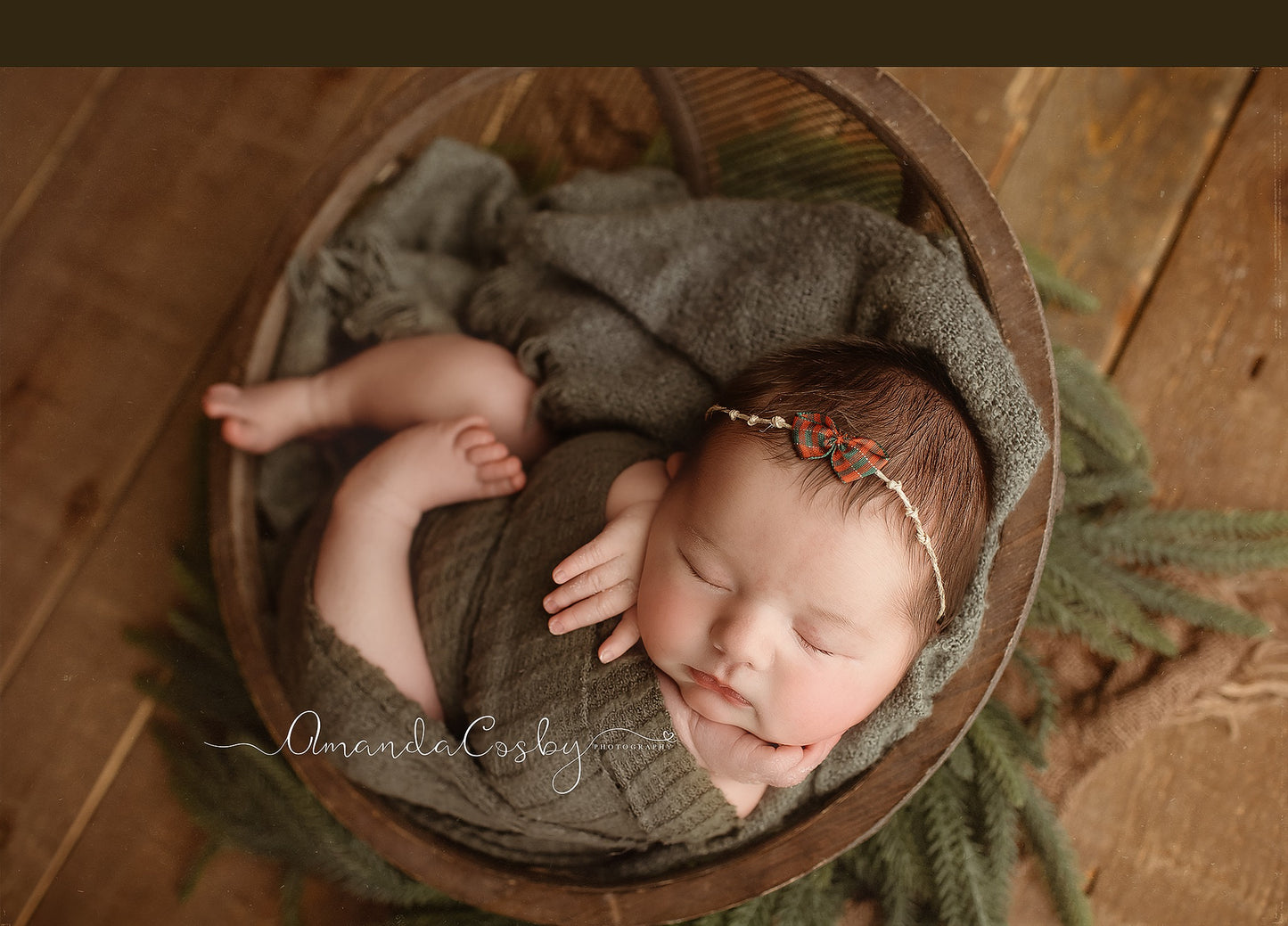 Fir | Backdrop, Wrap & Headband