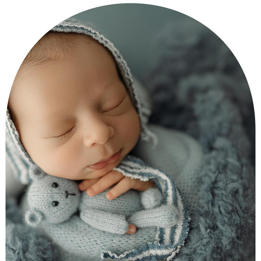 Teddy Bear Collection| Knit Layers