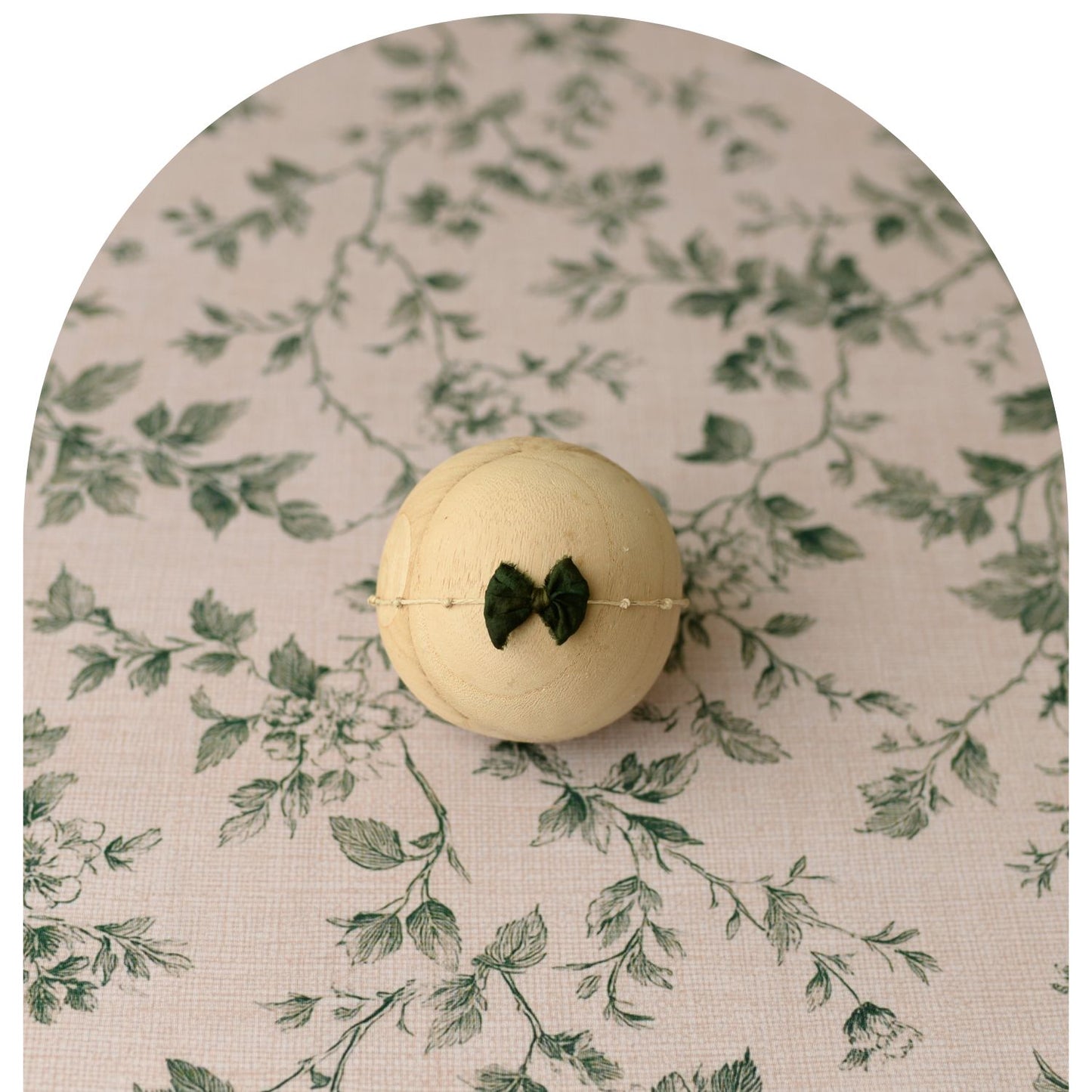 Garden Ivy Collection | Backdrop & Pillow Covers