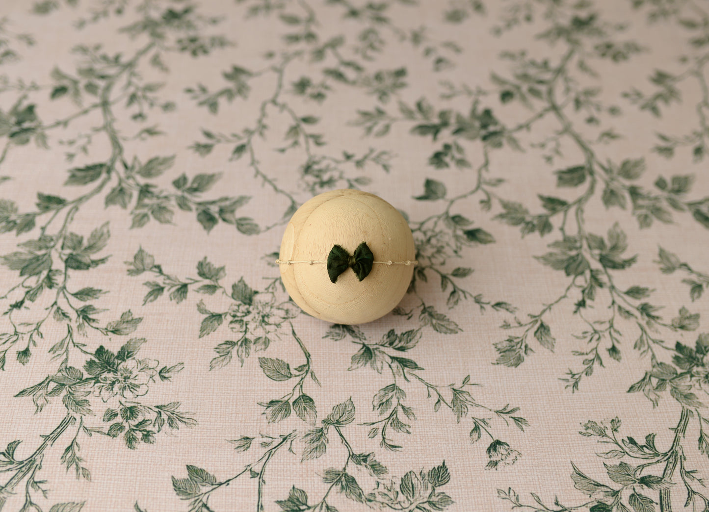 Garden Ivy Collection | Backdrop & Pillow Covers