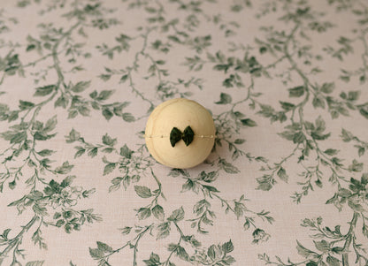 Garden Ivy Collection | Backdrop & Pillow Covers