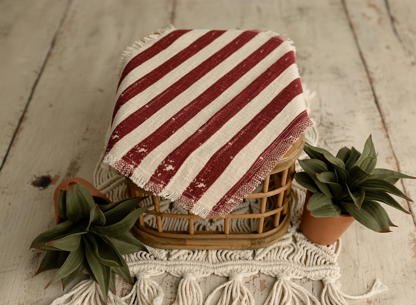 Liberty Collection (DEAL OF THE DAY!)