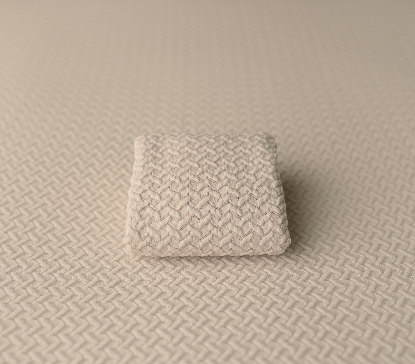 Heirloom Vanilla Bean | Backdrop, Wrap & Pillow Case