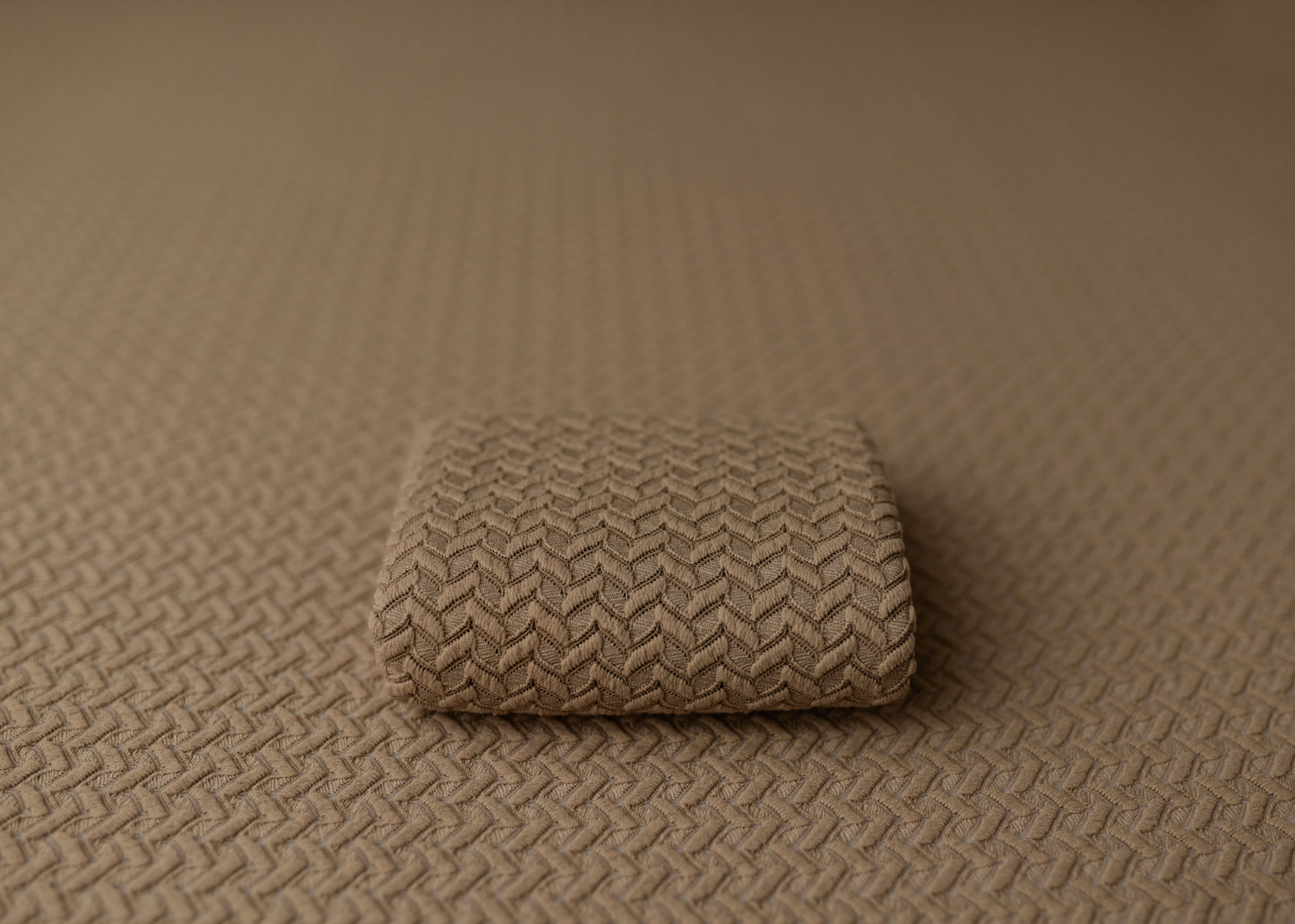 Heirloom Vanilla Bean | Backdrop, Wrap & Pillow Case