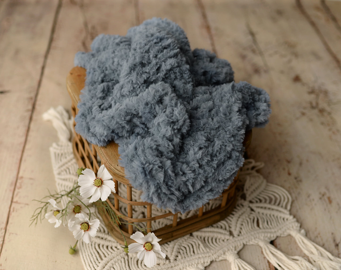 Teddy Bear Collection| Knit Layers